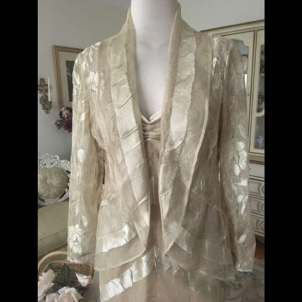 Damianou NWOT elegant 2 piece metallic sheen gown SZ M B:672. 7/20/26